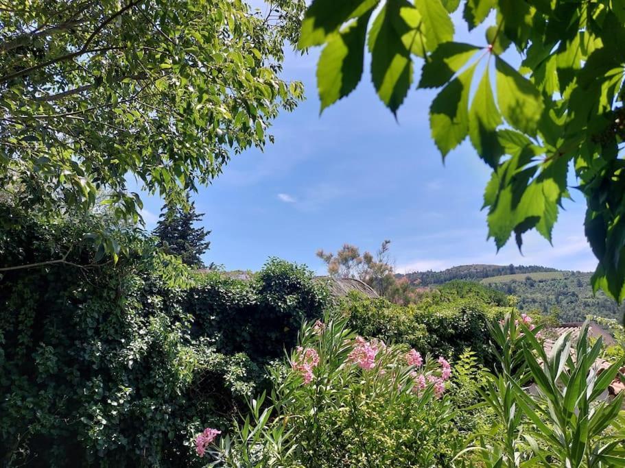 Vue De Rennes-Le-Chateau Couiza Esterno foto